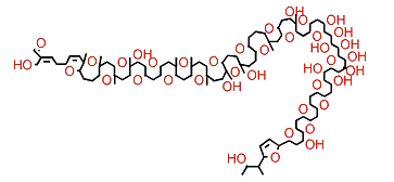 Brevisulcenal I